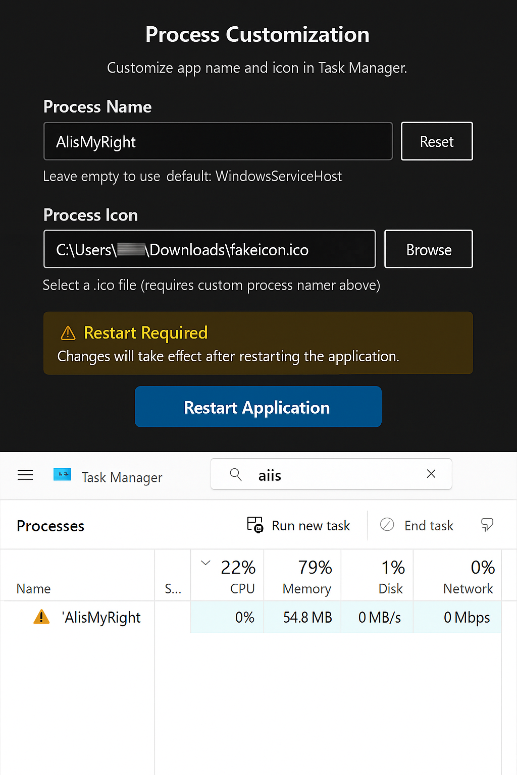 Process Customization